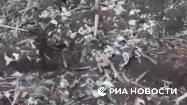 Штурмовики бригады Волки выбили ВСУ с ряда позиций под Часовым Яром