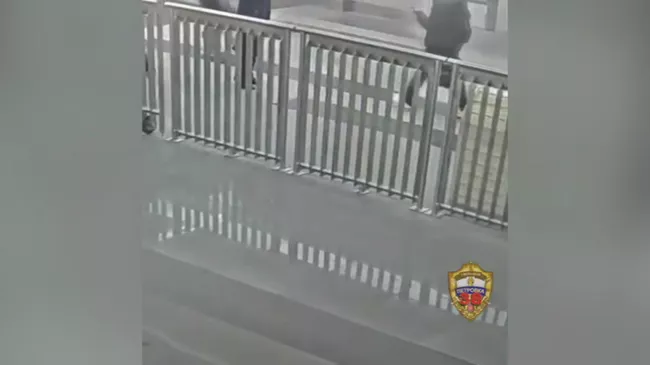 Мужчина внезапно ударил сотрудницу метро Москвы