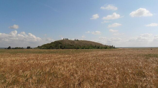 Курган Красногорский, Саргатская культура