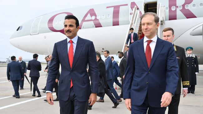 Эмир Катара Тамим бен Хамад Аль Тани в аэропорту Внуково-2 в Москве. 17 апреля 2025