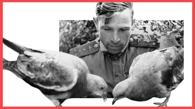 Т-34 и Ил-2: чего боялся Вермахт