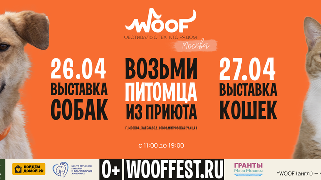 WOOF-фестиваль на Хлебозаводе