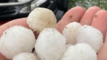 Град размером с перепелиное яйцо выпал в поселке Крестцы Новгородской области Град размером с перепелиное яйцо выпал в поселке Крестцы Новгородской области - РИА Новости, 1920, 15.09.2025