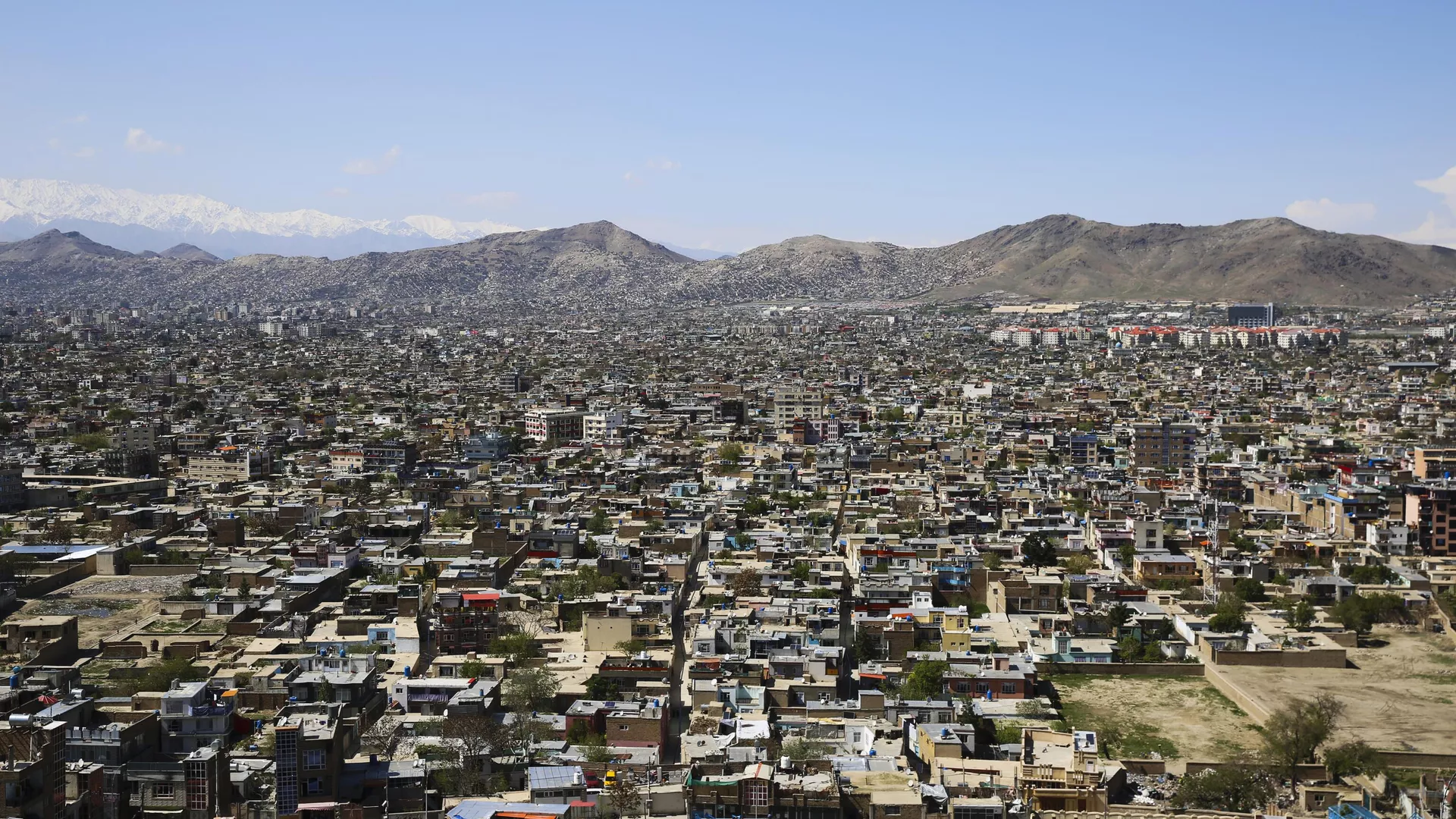 Афганистан пробно поставил в Россию виноград и бахчевые