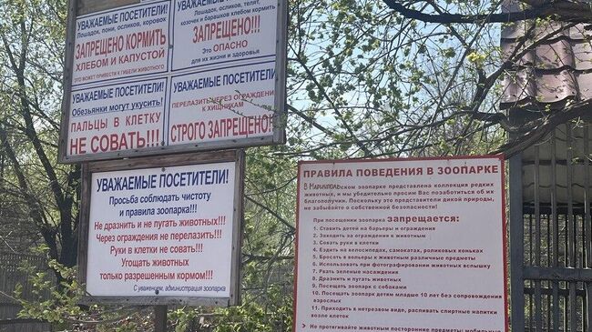 Правила поведения в зоопарке Правила поведения в зоопарке