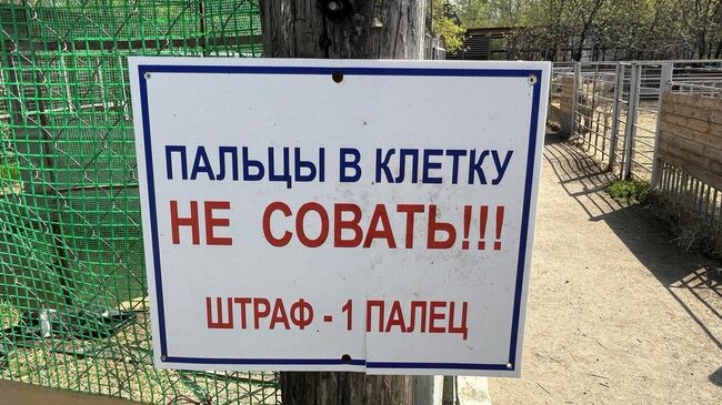 Таблички возле клеток Таблички возле клеток