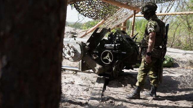 Боец артиллерийского расчета у пушки Д-30 Боец артиллерийского расчета у пушки Д-30