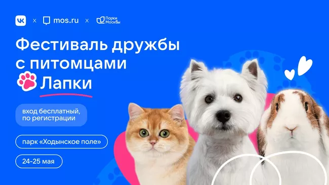 VK проведет первый фестиваль для любителей домашних животных в Москве
