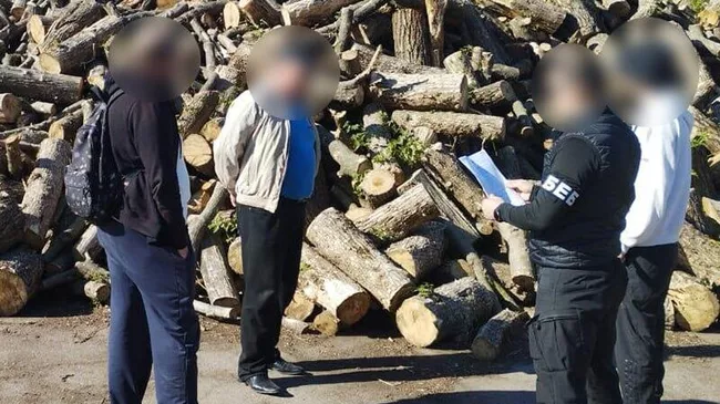 На Украине чиновники и предприниматели растратили более двух миллионов долларов бюджетных средств, выделенных на закупку дров для ВСУ