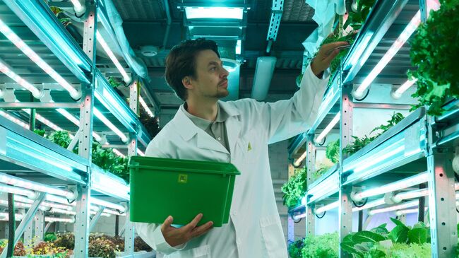 Промышленное производство в Москве