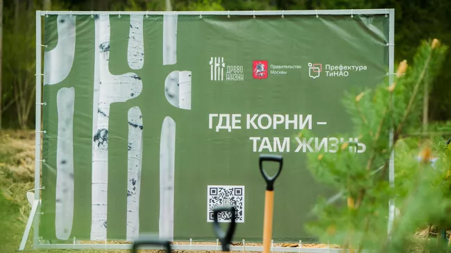 В Новой Москве высадили порядка пяти тысяч саженцев лесных культур