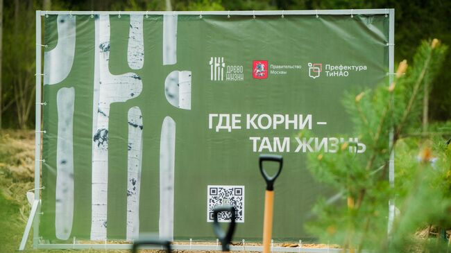 В Новой Москве высадили порядка пяти тысяч саженцев лесных культур