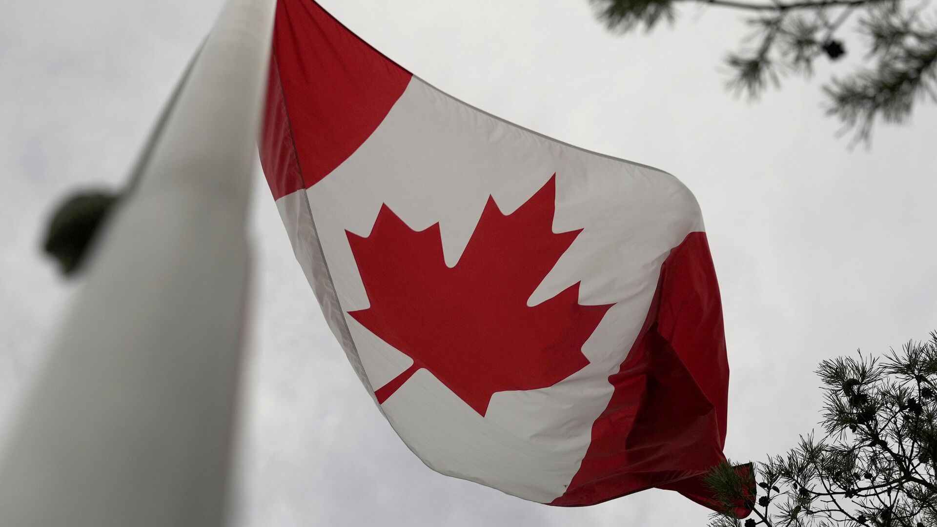 Канада передавала Украине книги с цитатами Гитлера и Муссолини