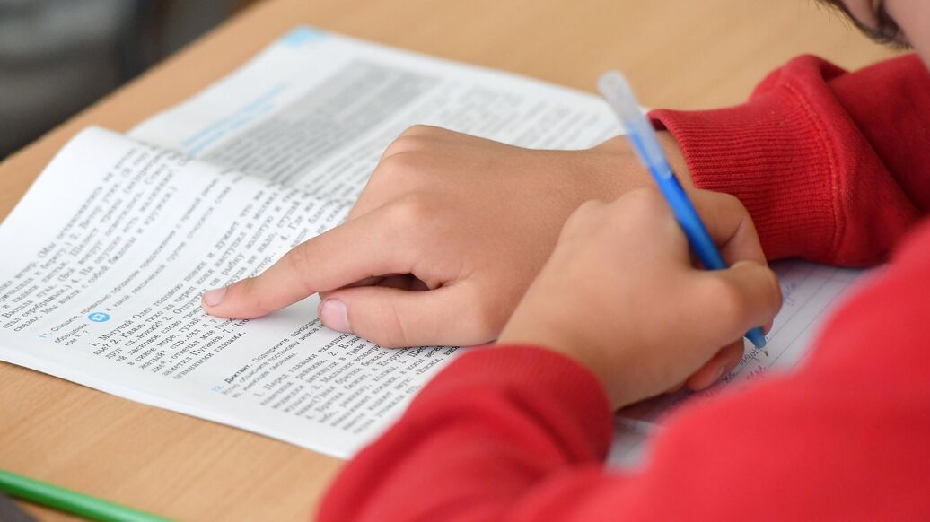 Рособрнадзор рассказал о ситуации с обучением детей мигрантов