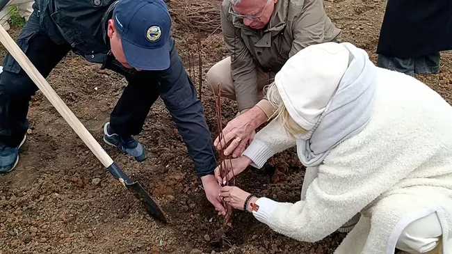 Церемония высадки масштабного геоглифа, посвященного 80-летию Великой Победы