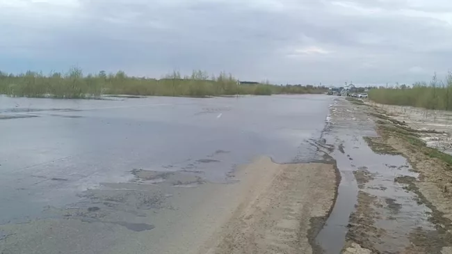 Подтопленная дорога в Ишиме