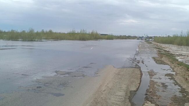Подтопленная дорога в Тюменской области