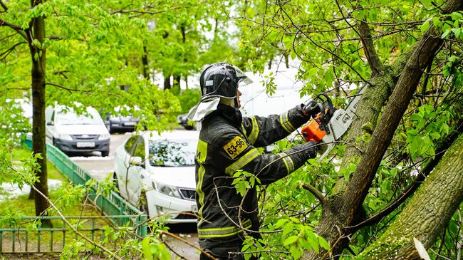 Коммунальные службы Химок устранили последствия непогоды 