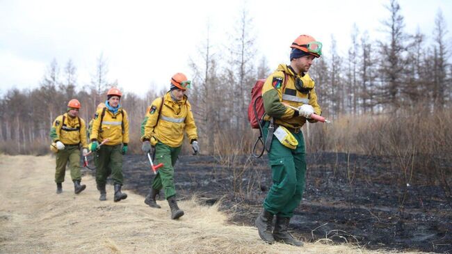 В Забайкалье потушили крупный природный пожар