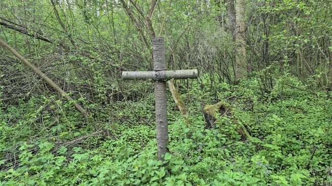 Эксгумация останков польских жертв Волынской резни на месте бывшей деревни Пужники Тернопольской области Украины