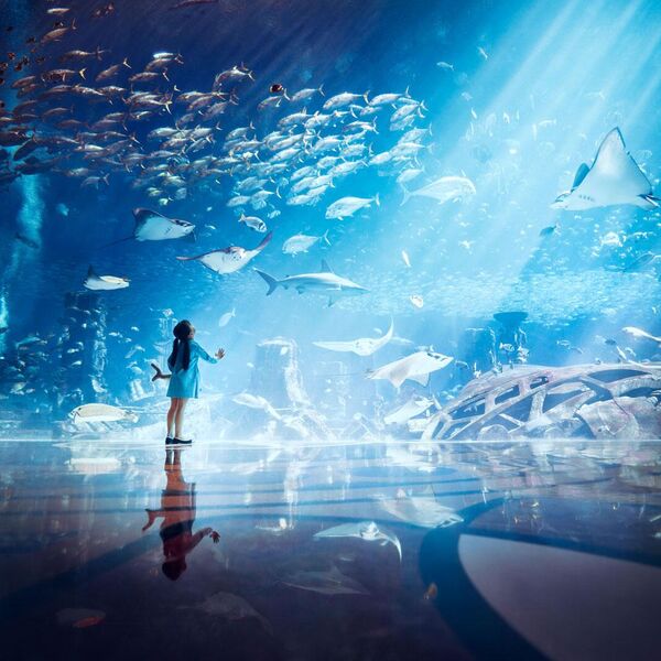 Atlantis, The Palm Atlantis, The Palm