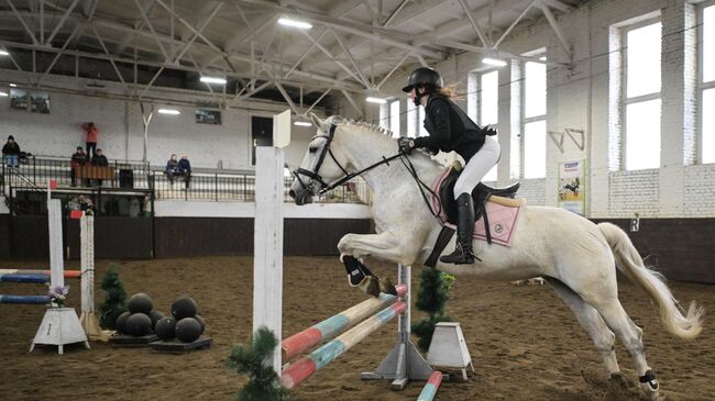 Всадница на лошади