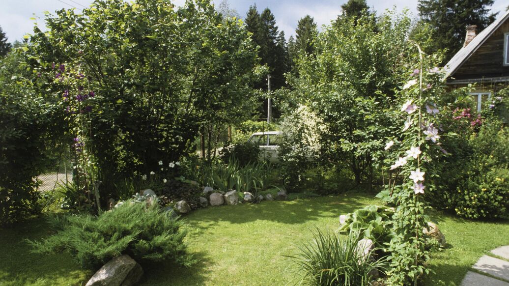 Дачников предупредили о штрафе за разведение костра на дачном участке