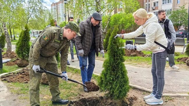 Высадка деревьев в рамках ежегодной акции Лес Победы в Красногорске в поселке Нахабино