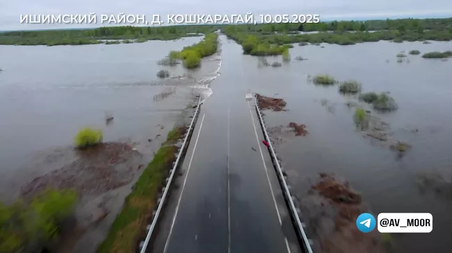 Кадры из Тюменской области, где за сутки уровень реки Ишим поднялся на 54 см 