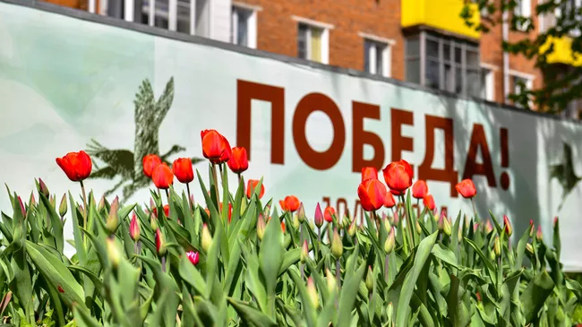 В Химках высадят 70 тысяч цветов в весенне-летний сезон