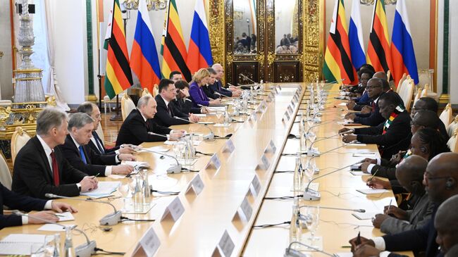 Президент России Владимир Путин и президент Республики Зимбабве Эммерсон Мнангагва во время встречи