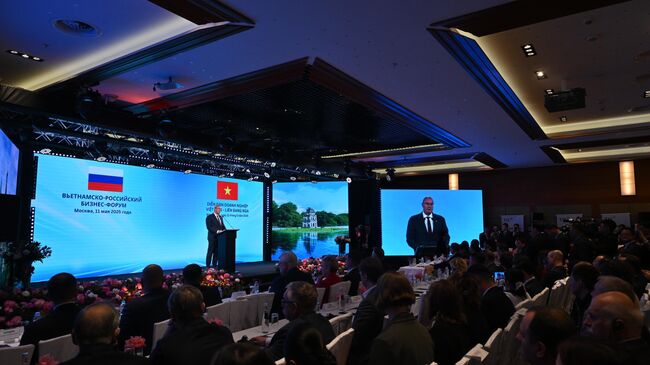 Заместитель председателя правительства РФ Дмитрий Чернышенко на Российско-вьетнамском бизнес-форуме. 11 мая 2025