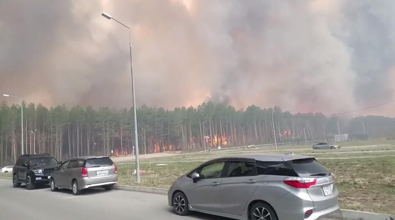 Пожар рядом с жилым микрорайоном в ЗАТО Циолковский Амурской области - РИА Новости, 1920, 13.05.2025