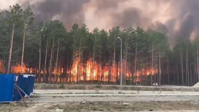 Пожар рядом с жилым микрорайоном в ЗАТО Циолковский Амурской области