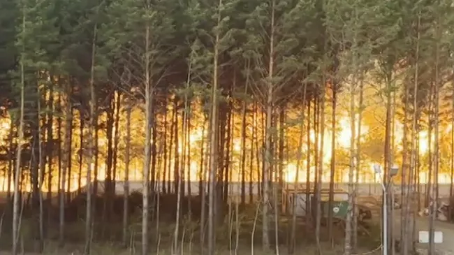 Природный пожар у населенного пункта Циолковский в Амурской области