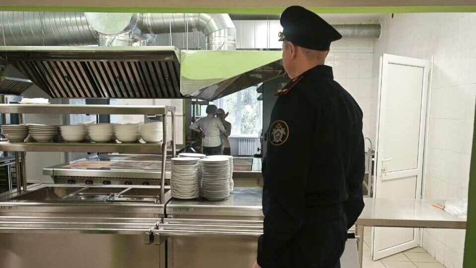 Сотрудник СК проводит проверку в чувашской школе, где произошло массовое отравление школьников - РИА Новости, 1920, 14.05.2025