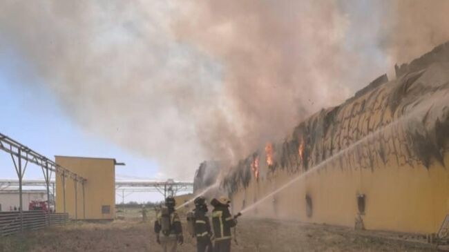 Ликвидация пожара на птицефабрике в Астрахани