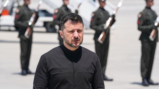 Владимир Зеленский в Анкаре