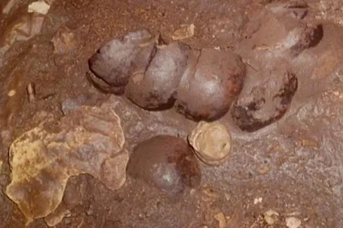 Restos de víctimas del ritual maya en la Cueva de Sangre en Guatemala Restos de víctimas del ritual maya en la Cueva de Sangre en Guatemala - RIA Novosti, 1920, 16/05/2025