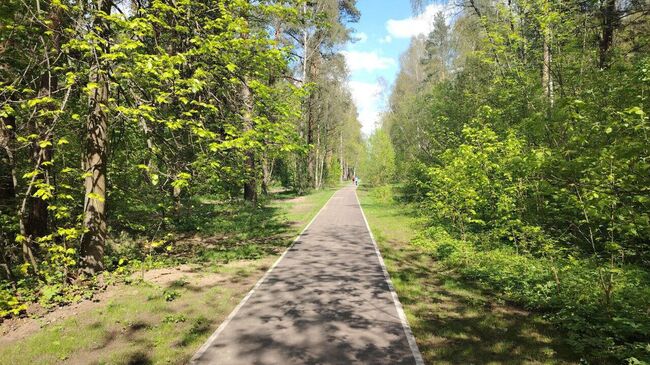 Благоустройство 111 народных троп закончили в Московской области