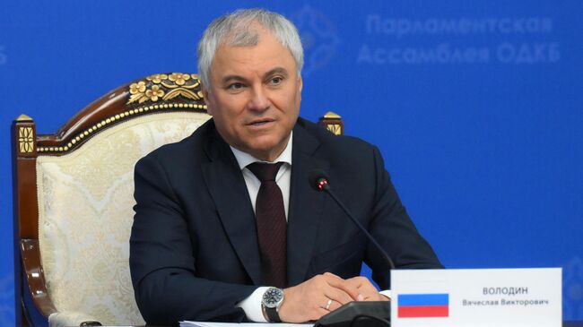 Председатель Государственной Думы РФ Вячеслав Володин
