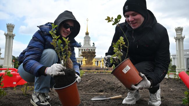 Общегородской субботник в Москве Общегородской субботник в Москве