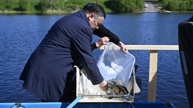 Губернатор Тверской области Игорь Руденя с суворовцами выпустил в Волгу более 5,5 тысячи мальков стерляди