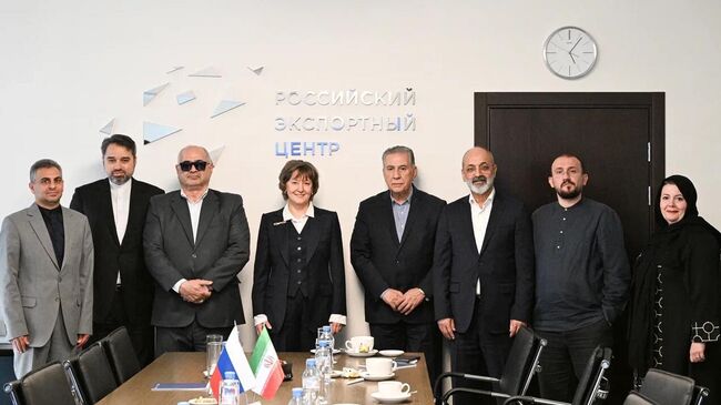 Встреча главы РЭЦ Вероники Никишиной с председателем ТПП Ирана Самадом Хасанзаде