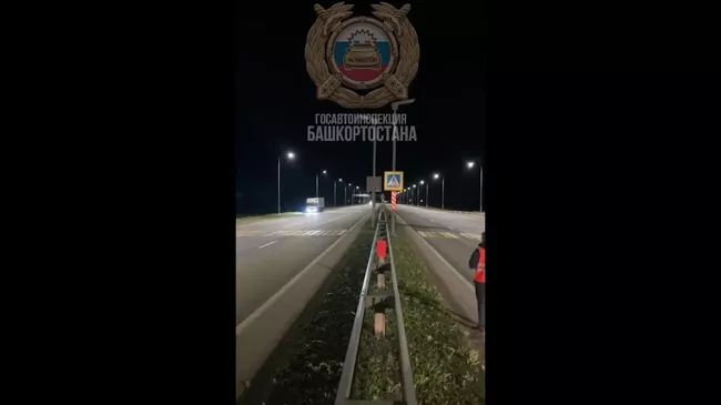 Кадры с кабаном, перебегающим трассу по пешеходному переходу в Башкирии