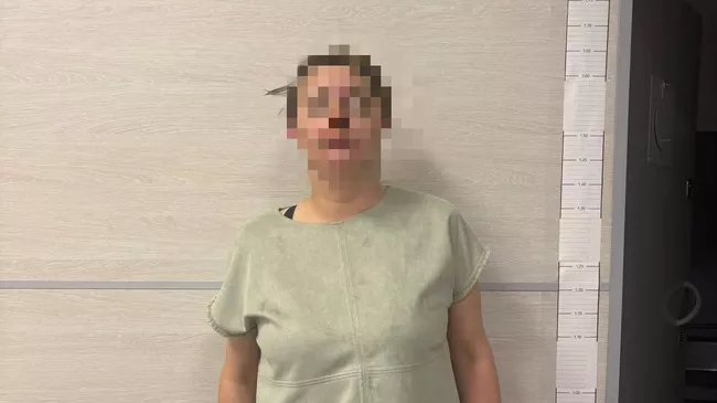 Жительница Санкт-Петербурга попыталась выйти через аварийный люк из самолета в Храброво