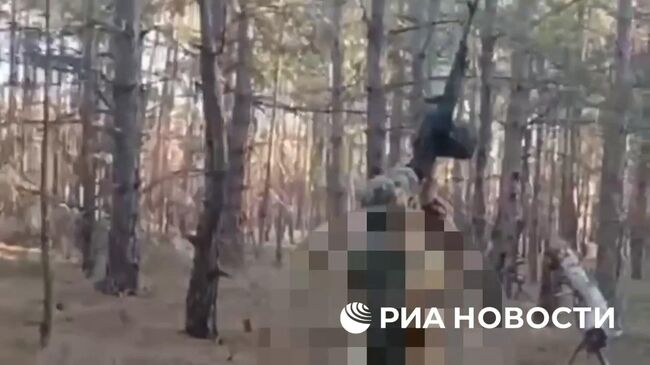 Уничтожение украинского дрона-бомбардировщика Вампир российскими десантниками