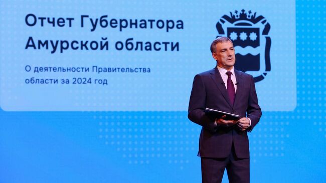 В Приамурье делают ставку на развитие семи отраслей в ближайшие 10 лет