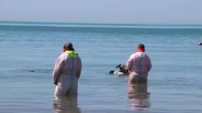 Водолазы за сутки собрали 88 мешков замазученного грунта на дне моря у Анапы Водолазы за сутки собрали 88 мешков замазученного грунта на дне моря у Анапы