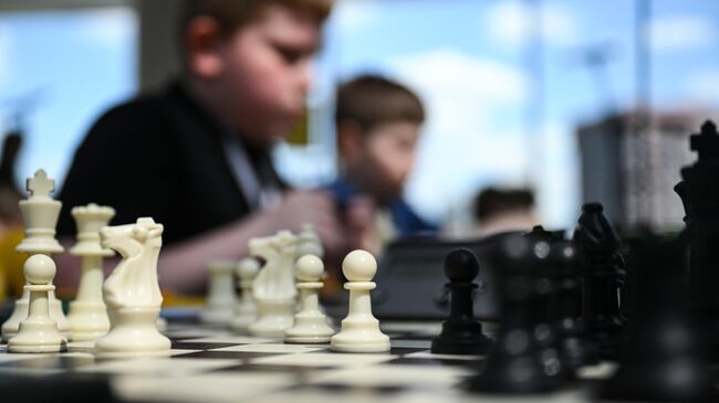 Шахматные звезды 5.0